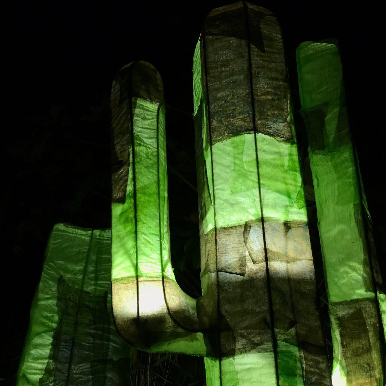 Photograph taken in the dark of large cactus lantern close-up. The photo shows the bright shades of green illuminated in the dark.