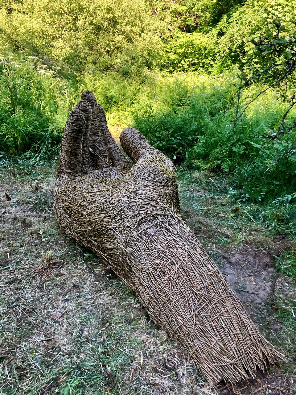 Photograph of wicker hand onsite at The Lost Gardens of Heligan, shot of hand and wrist on a dewy morning.