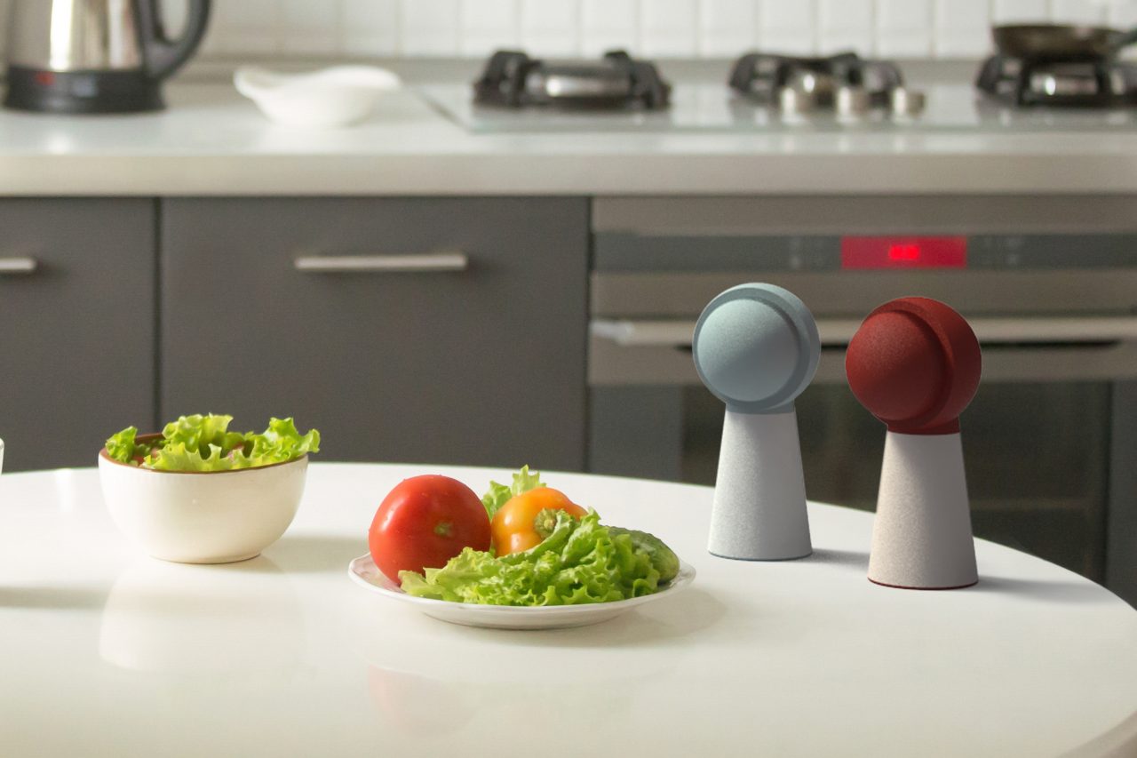 Sally and Pepi in a kitchen on a table next to salad.